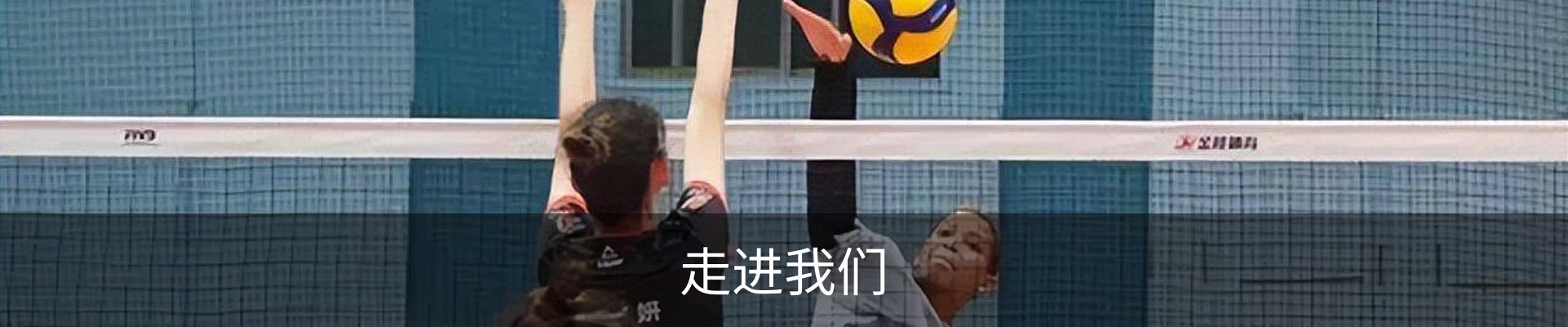 走进我们